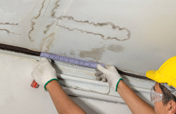 Reliable Water Damage contractor in Deford, MI by Water Damage Irwin